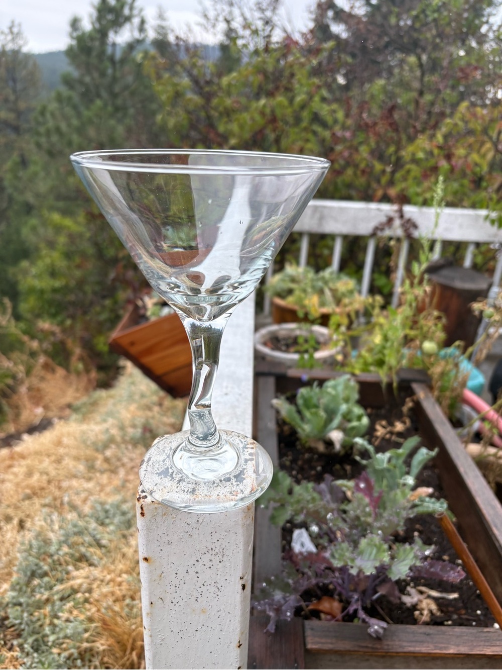 Four Glasses Hand Made Martini Glasses